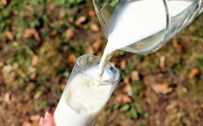 Où trouver du calcium ailleurs que dans les produits laitiers ?