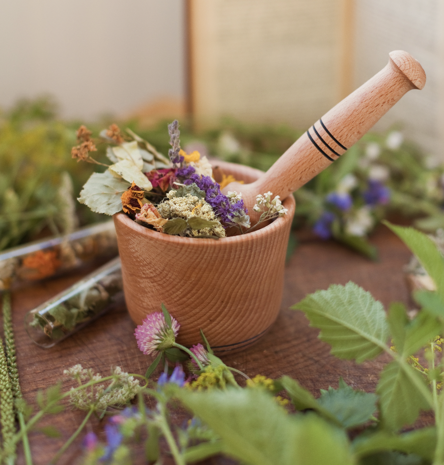 naturopathie-phytothérapie_ChristineMarcais